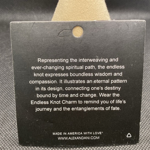 🩶ALEX AND ANI🩶Endless Knot Bangle Bracelet in Rafaelian Silver/NWT - Picture 3 of 9